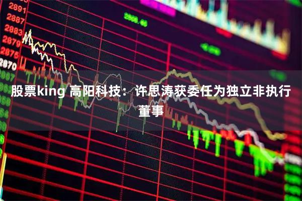 股票king 高阳科技：许思涛获委任为独立非执行董事
