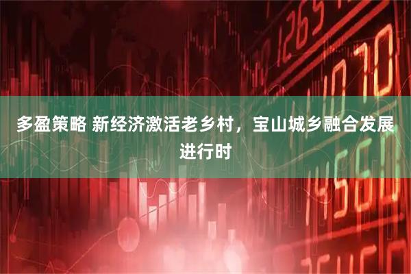 多盈策略 新经济激活老乡村，宝山城乡融合发展进行时